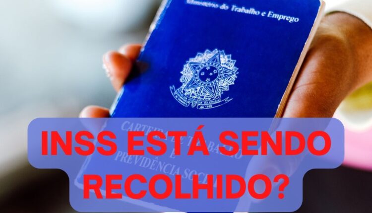 Saiba se o seu INSS está sendo recolhido pelo empregador