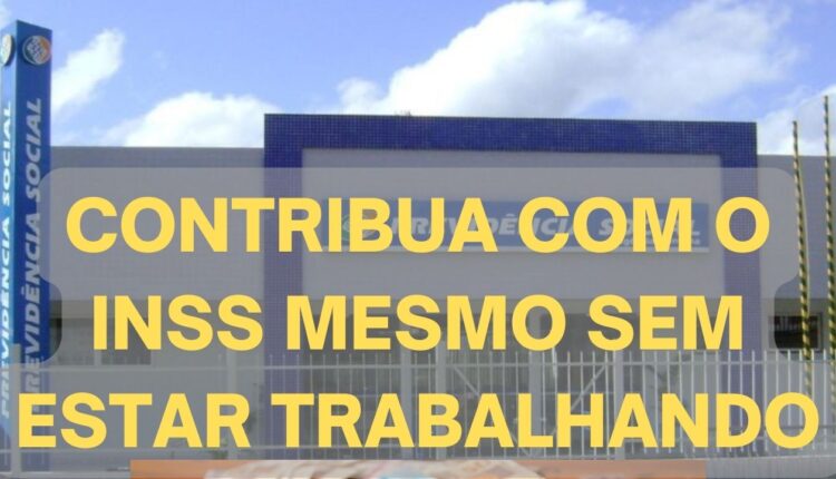 Contribua com o INSS mesmo sem estar trabalhando
